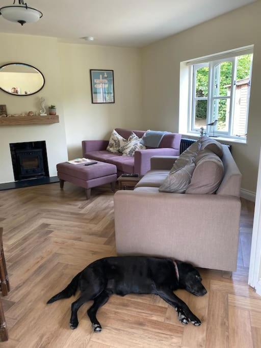 Lovely Quiet Cottage Sleeps 4 Adults, 4 Children, Dog Friendly Cley next the Sea Extérieur photo
